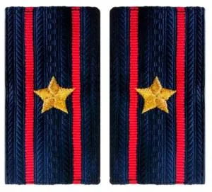 Фальшпогоны вышитые н/о полиция майор 