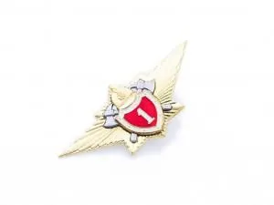 Знак "Классность МЧС 1"